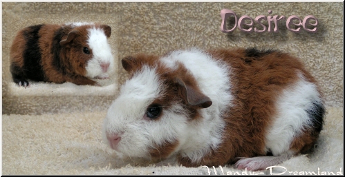 Desiree