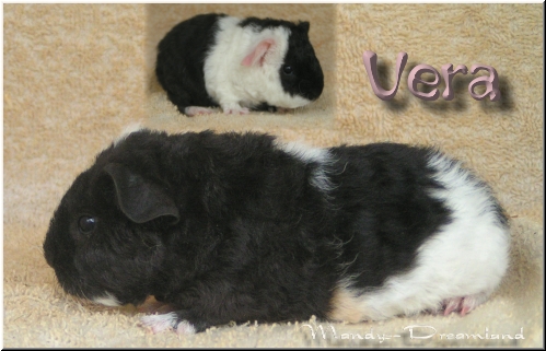 Vera