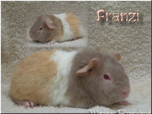 Franzi