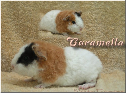 Caramella