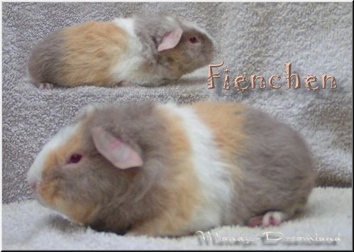 Fienchen