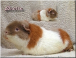 Benita