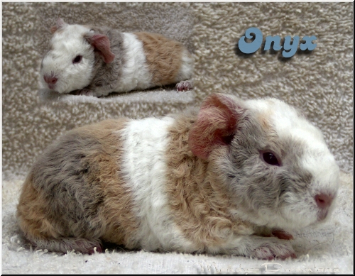 Onyx
