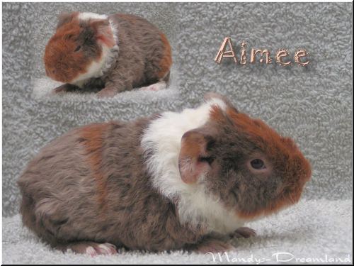 Aimee