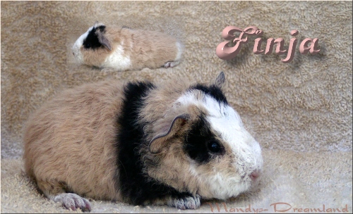 Finja