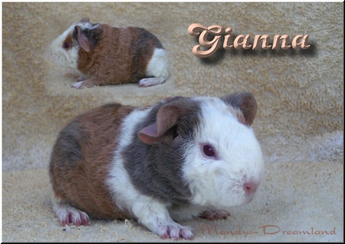 Gianna